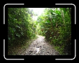 Tortola 117 * 2048 x 1536 * (2.43MB)